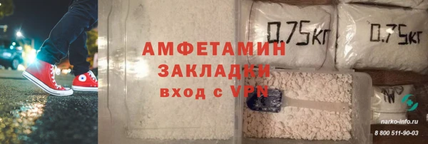 шишки Аркадак