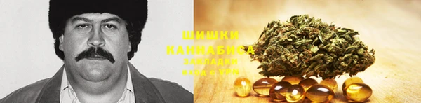 спайс Арсеньев