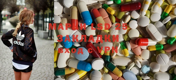 шишки Аркадак