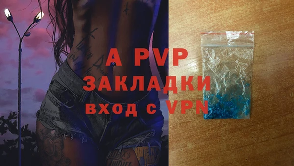спайс Арсеньев