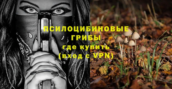 спайс Арсеньев