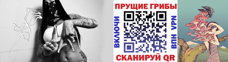 Псилоцибиновые грибы прущие грибы  Покровск 